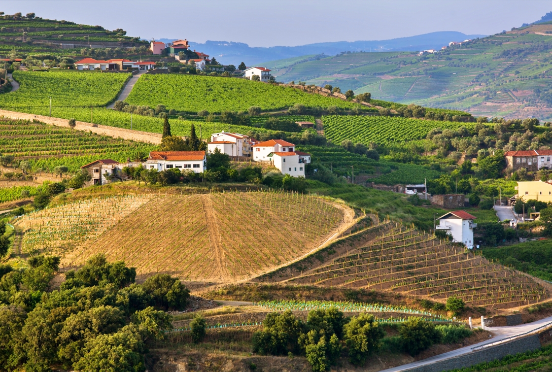 Douro portugal real estate